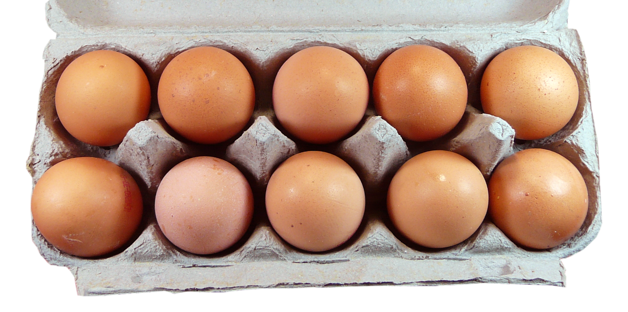 Eier