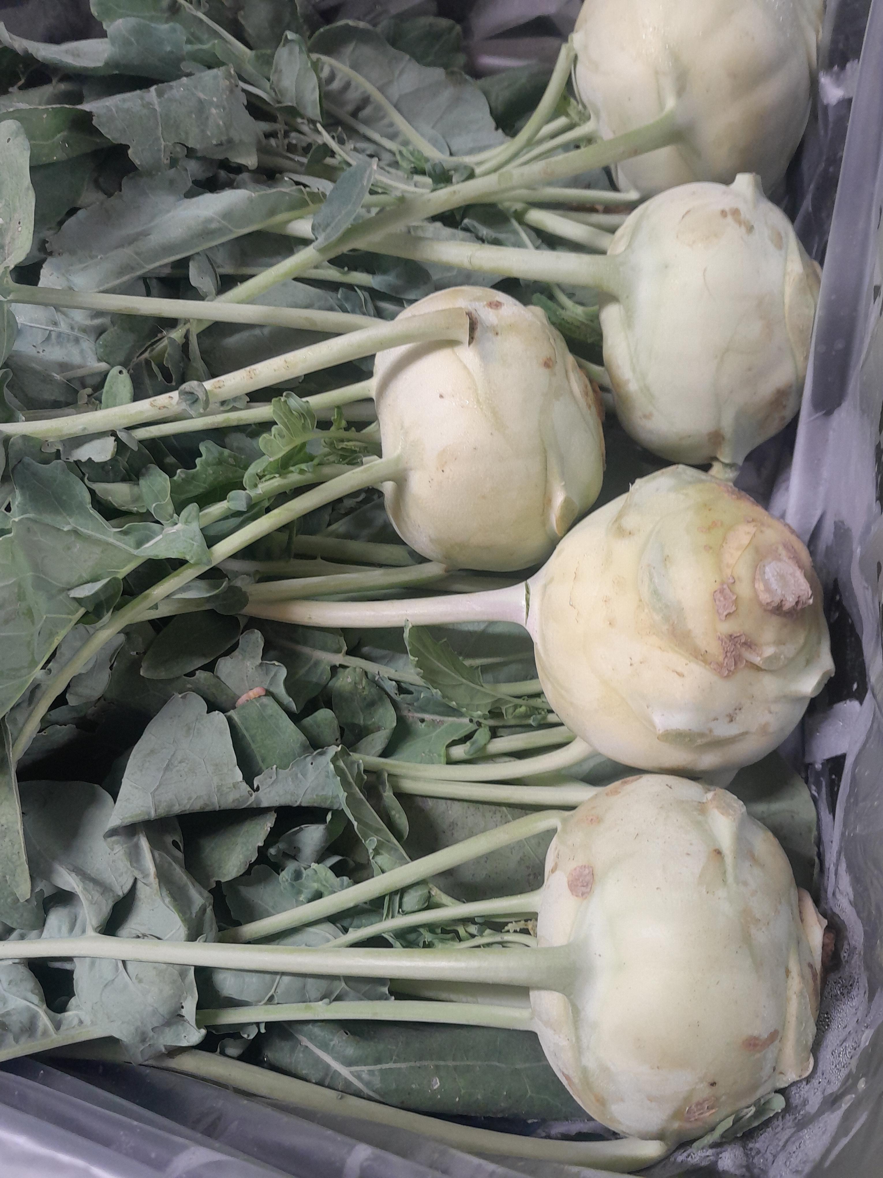 Liebiger Bio Kohlrabi