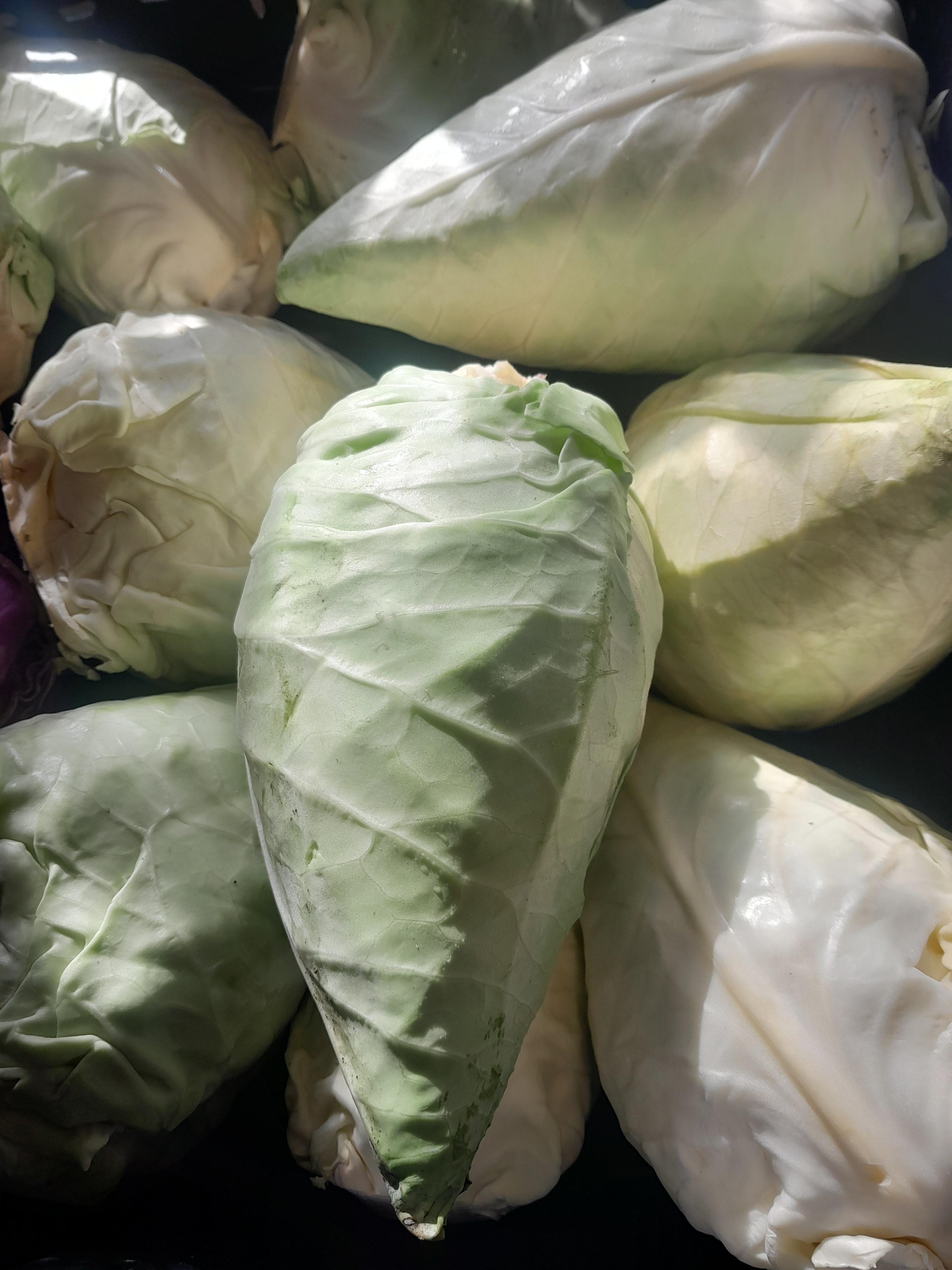 Liebiger Bio Spitzkabis